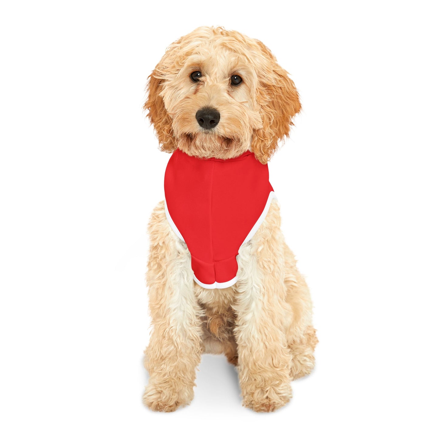 Minimalist | Pet Hoodie with Cross Design