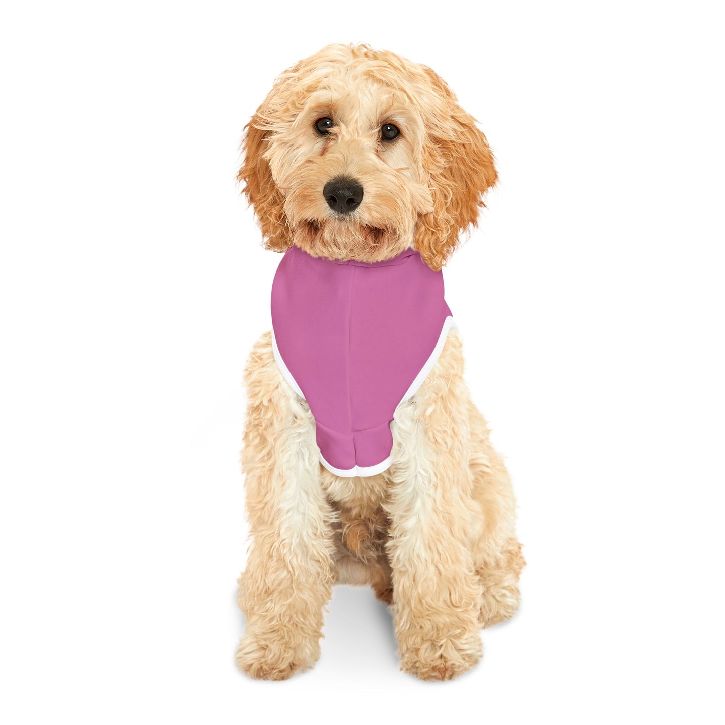 Minimalist | Pet Hoodie with Cross Design