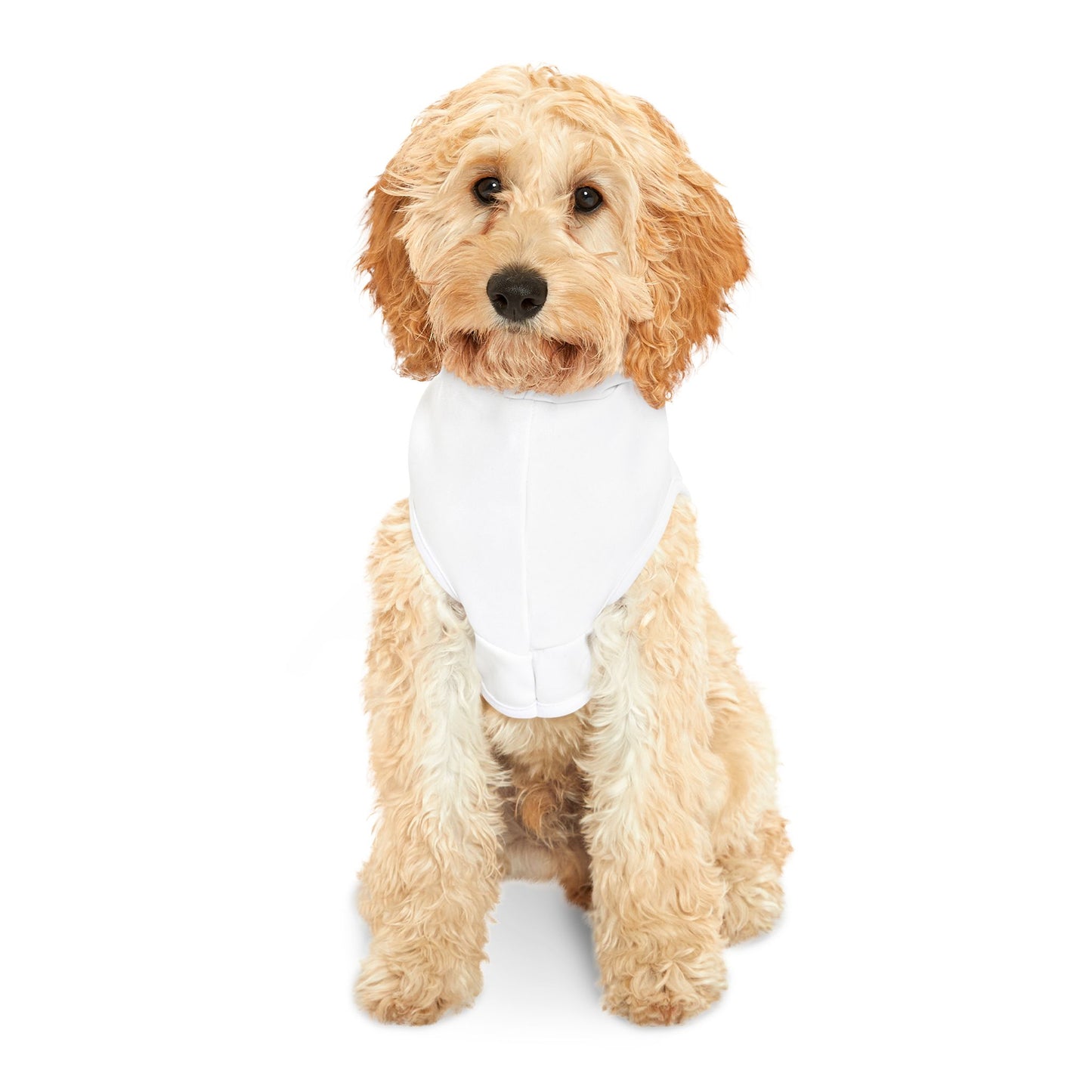 Minimalist | Pet Hoodie with Cross Design